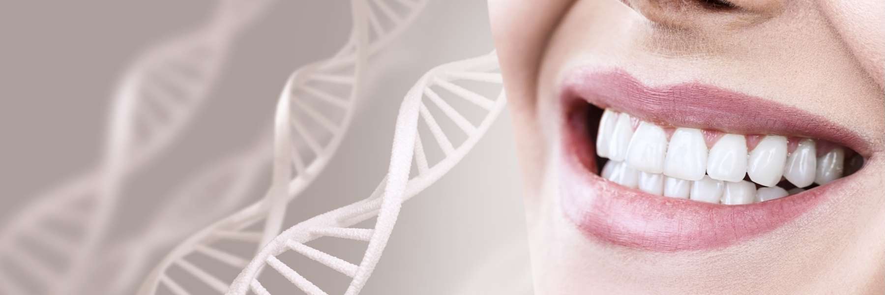 Biocompatibility Testing | Dentist