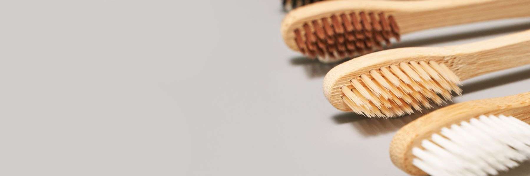 Biological Dentistry | Dentist